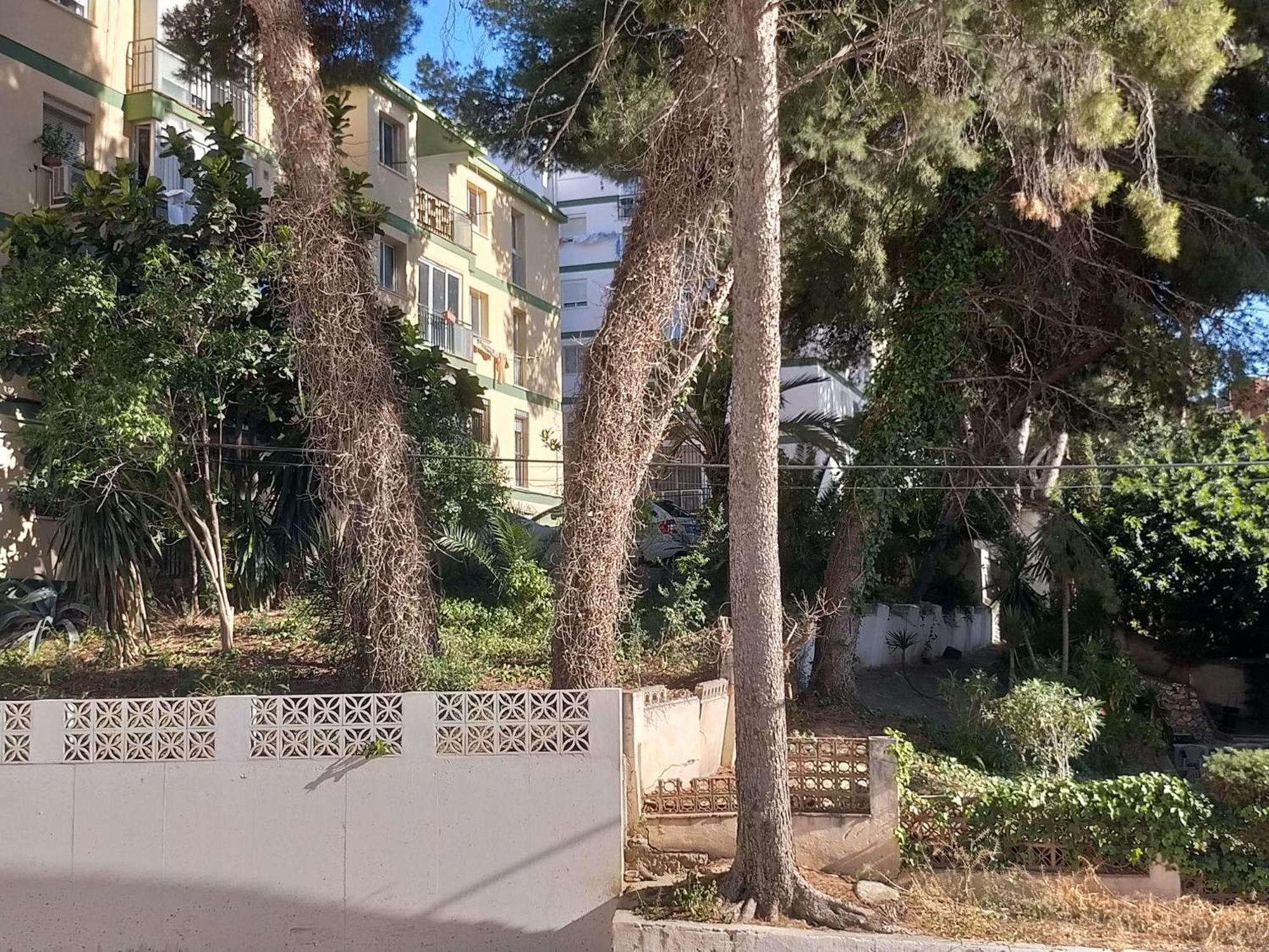 Terraza Del Bajondillo Torremolinosアパートメント エクステリア 写真